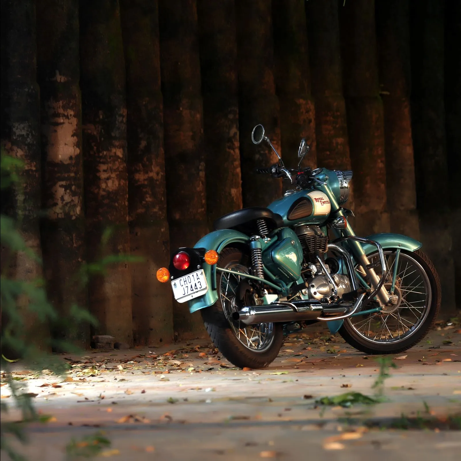 A teal motorcycle parked on a leafy path in late afternoon light
